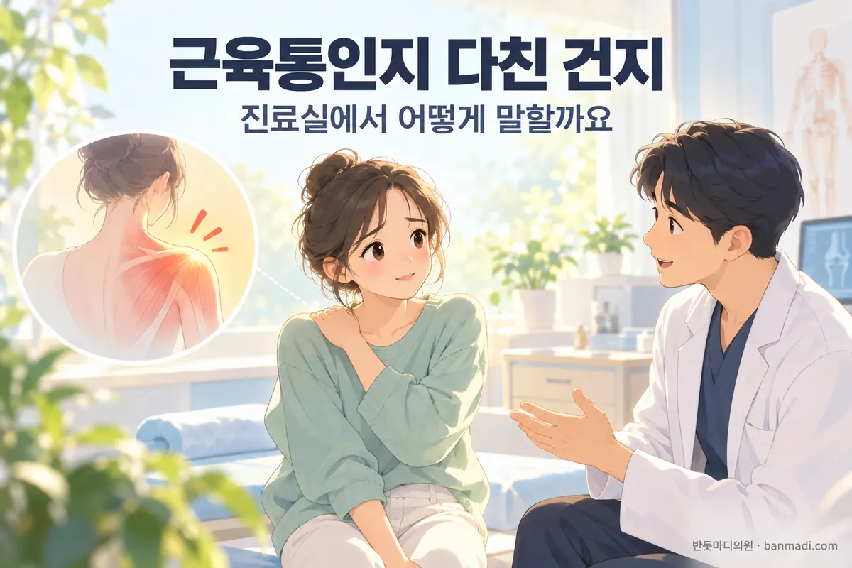운동 다음 날 아픈데, 근육통인지 다친 건지 어떻게 이야기하면 될까요