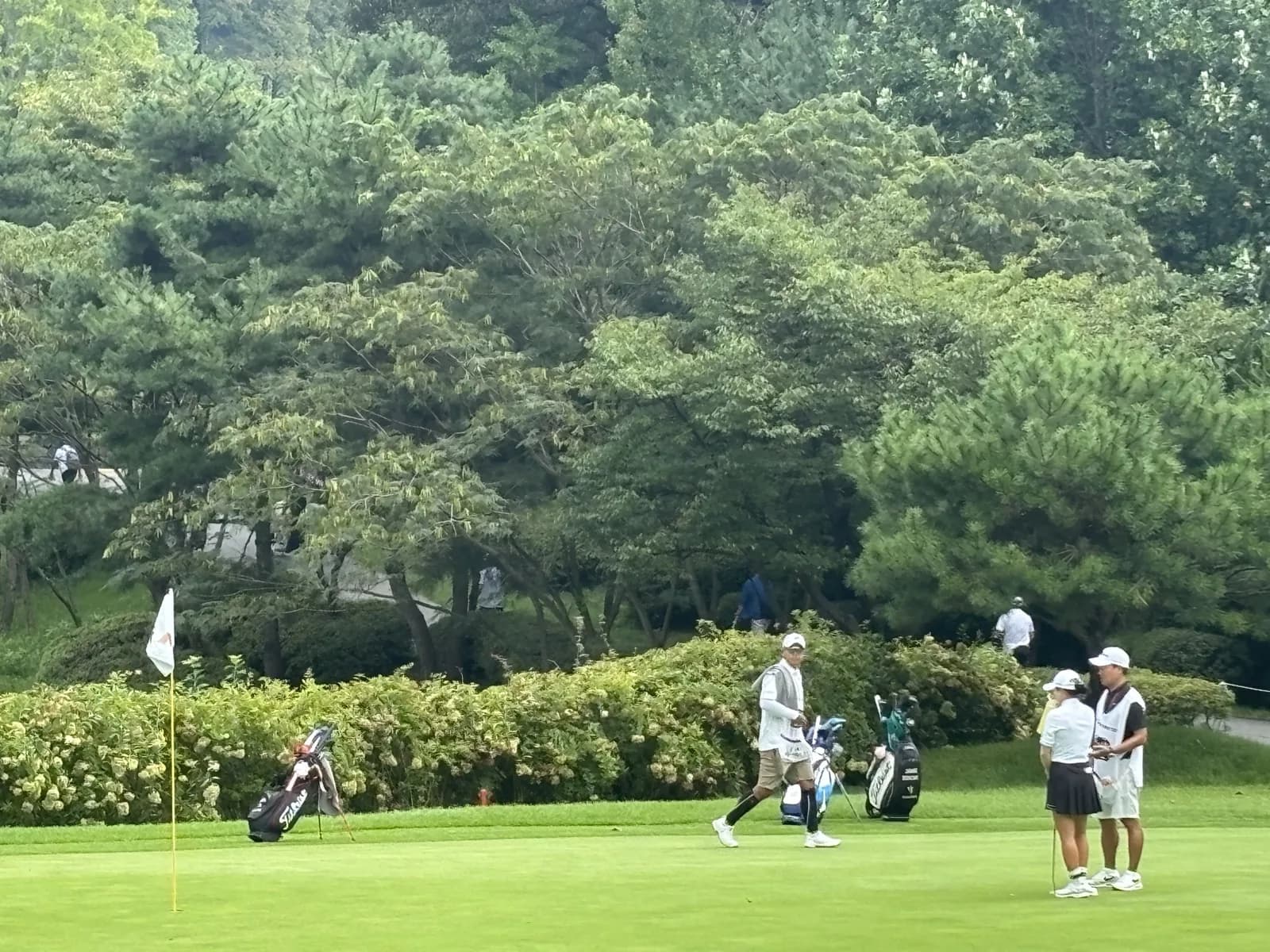 경기가 진행 중인 KLPGA 투어 코스