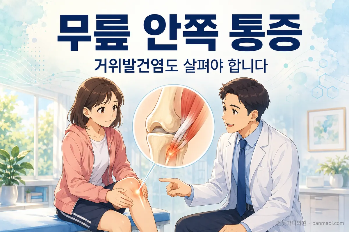 무릎 안쪽 통증 - 만성적인 무릎 안쪽 통증은 거위발건염을 의심해 볼 수 있습니다.