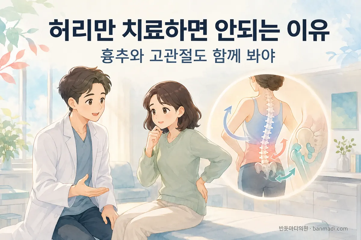 허리가 아플때 허리만 치료하면 안되는 이유 - 과천 반듯마디의원