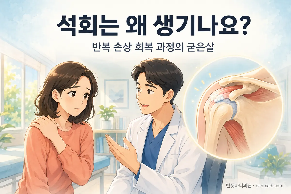 어깨가 아픈데 석회성 건염이래요. 석회는 왜 생기는 건가요?