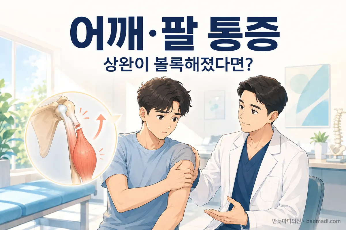 갑작스러운 어깨와 팔의 통증 - 상완 이두근 장두 파열, 뽀빠이사인(popeye sign)