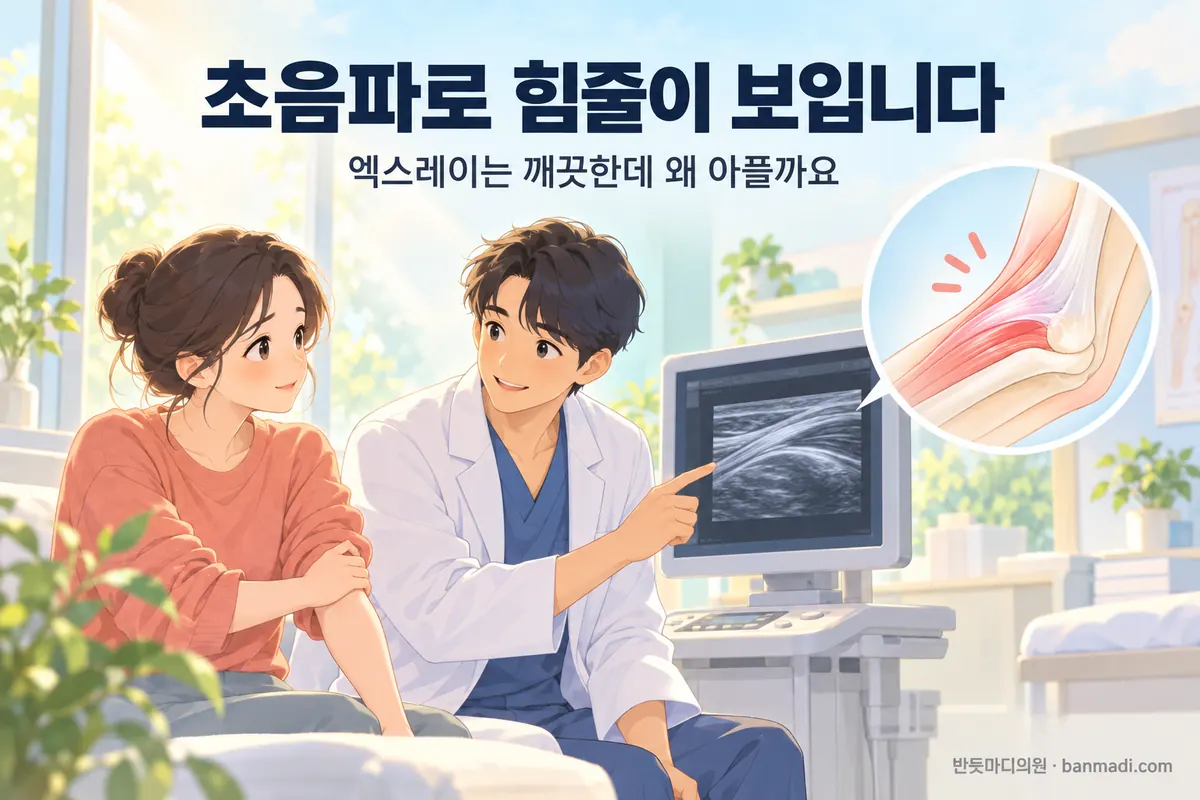 엑스레이는 깨끗한데 왜 아플까요, 초음파로는 힘줄이 보입니다